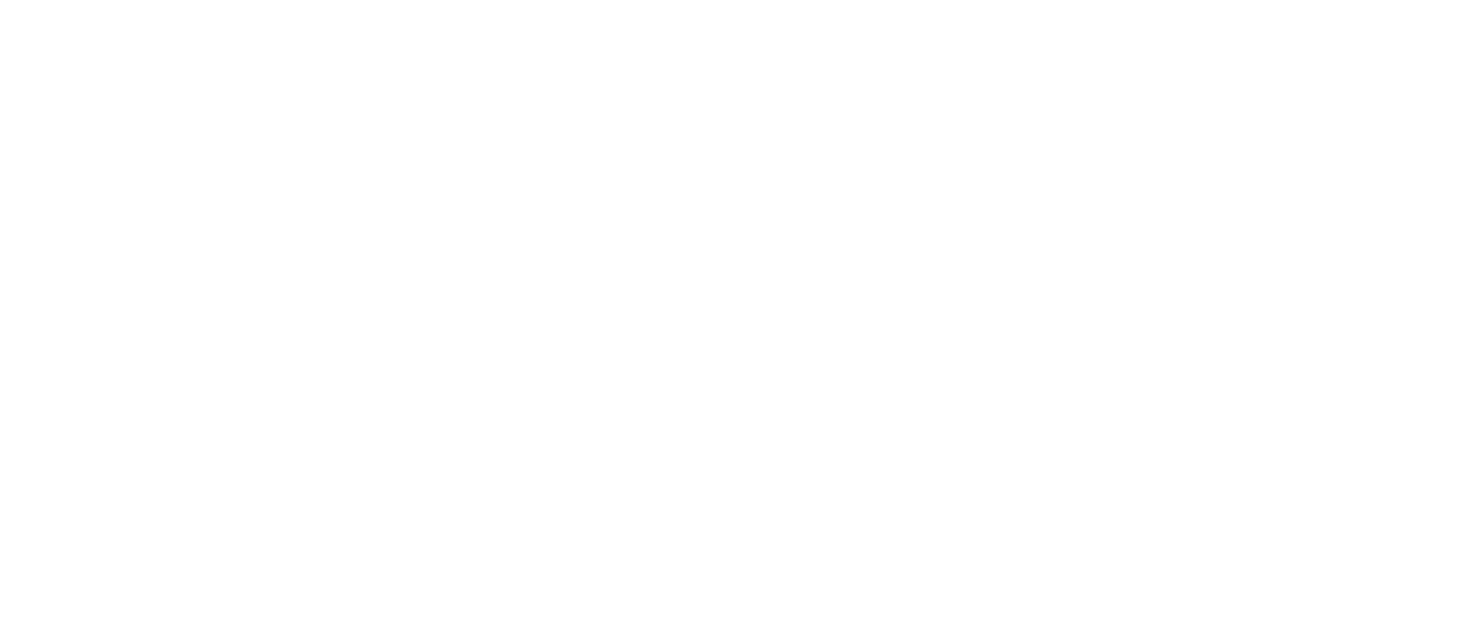 Lib-Tech